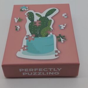 Perfectly Puzzling Cactus Puzzle Box - Pink & Teal